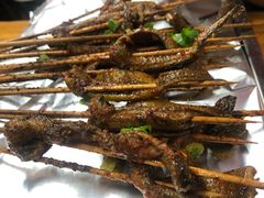 -晓靖轩烧烤(沙河风情店)