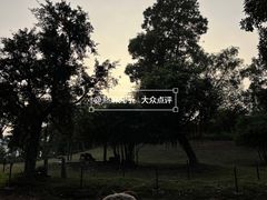 -深圳野生动物园