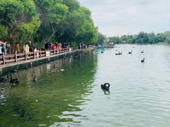 -五缘湾湿地公园