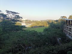 -深圳隐秀山居酒店