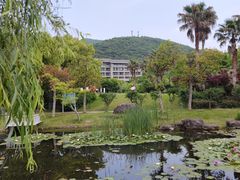 -宁波九龙湖开元度假村