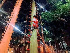 -黄海国家森林公园