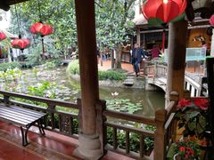-河内西湖莲花自助餐厅