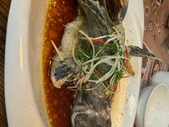 -九號渔港·蒸汽海鲜·粤菜茶点(八卦岭店)