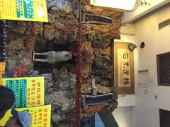 iphone_upload_pic-乔家满族八大碗(流水沟店)