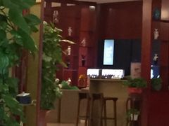 -郑州新郑国际机场T2航站楼-贵宾厅B区