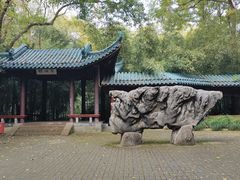 -赭山公园