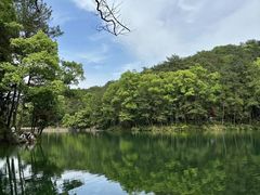 -缙云山景区