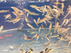 -钓鱼岛洗浴休闲会馆(卫星路店)