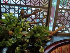 -湘当爱·鲜煮现炒(松岗立业路店)