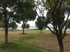 -漕湖湿地公园