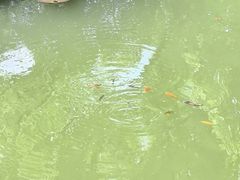 -浙江大学(玉泉校区)