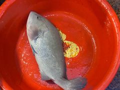 -新金盛·海鲜酒楼(盐田店)