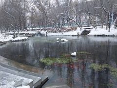 -水磨沟公园