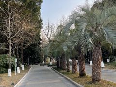 -苏州河梦清园环保主题公园