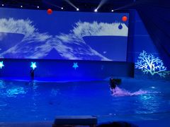 -南昌融创海世界