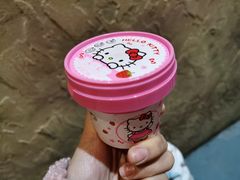 -杭州Hello Kitty乐园