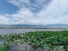 -西昌邛海湿地