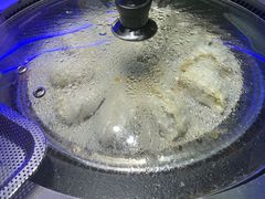 -挂雪铁锅炖大鹅