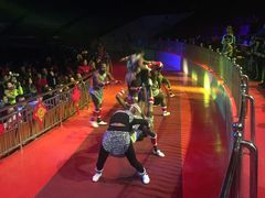 -灵玲国际马戏城