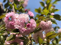 -长白岛森林公园