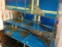 -彭城味道.地道徐州味(怡海花园店)