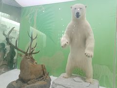 -国家自然博物馆