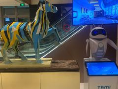 -武汉马哥孛罗酒店