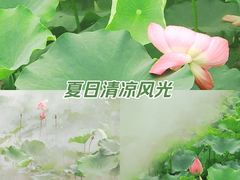 -黄兴公园