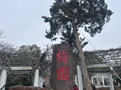 -无锡梅园公园