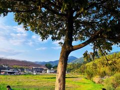 -云水谣景区