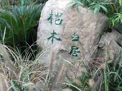 -桤木河湿地公园