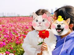-映月湖中央公园