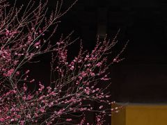 -慧因高丽寺