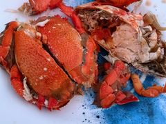 -亚龙湾希尔顿自助餐厅·海鲜·烧烤·沙滩BBQ·现场乐队