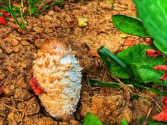 -中家鑫园温泉酒店鑫悦汤泉