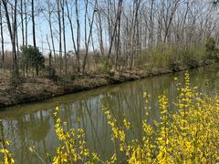 -合肥滨湖国家森林公园