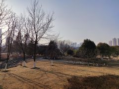-白塘生态植物园
