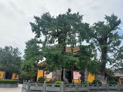 -圆通寺