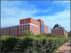 -东北大学(秦皇岛分校)