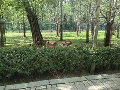 -秦皇岛野生动物园