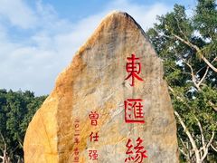 -万绿园
