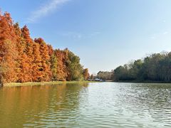 -上海海湾国家森林公园