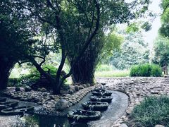 -成都市活水公园