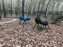 -汉石桥湿地童趣乐园