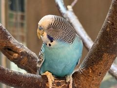 -上海大自然野生昆虫馆