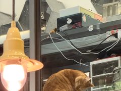 -微焙咖啡工厂(海峡创意产业园·红坊店)