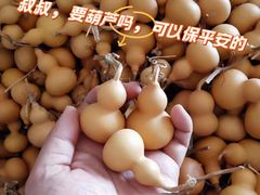 -五马集·海鲜·温州大牌档(黑金冠五马街十字路口店)