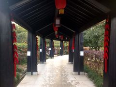 -三江森林温泉度假区