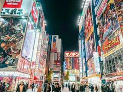 -秋叶原电器街